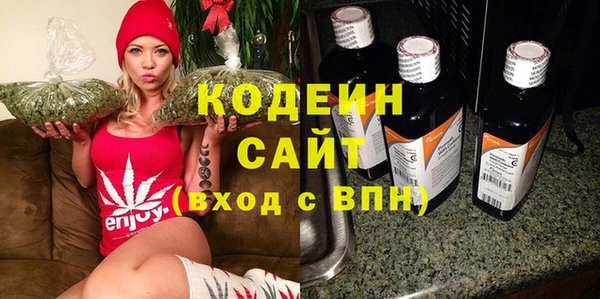 прущие грибы Костерёво