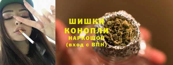 прущие грибы Костерёво