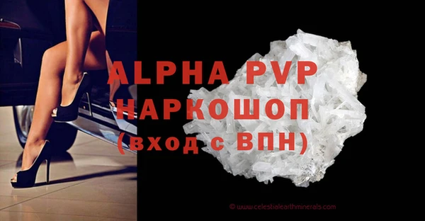 сатива Корсаков