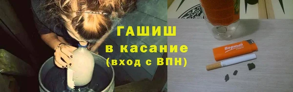сатива Корсаков