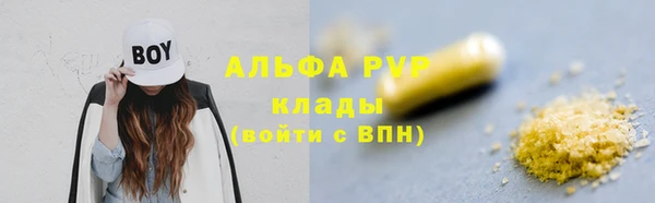 сатива Корсаков