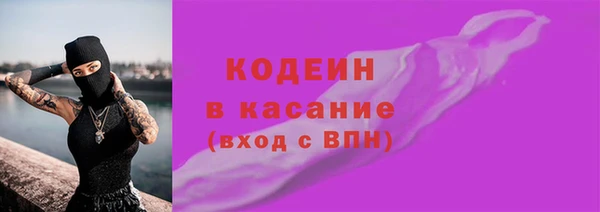 сатива Корсаков