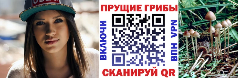 гидра маркетплейс  площадка телеграм  Волжский  Псилоцибиновые грибы прущие грибы  закладки 