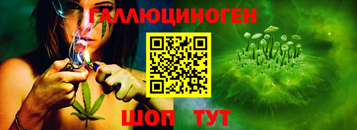 Псилоцибиновые грибы ЛСД Волжский