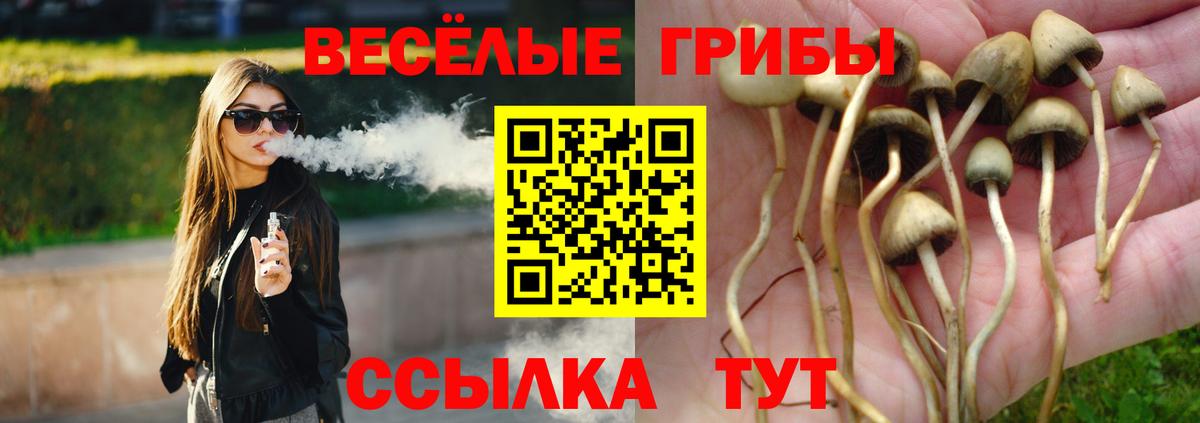 Волжский  Галлюциногенные грибы мицелий  что такое наркотик  Вход с VPN  Псилоцибиновые грибы прущие грибы 
